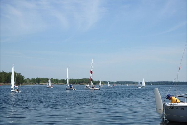 Traditionsregatta 2021