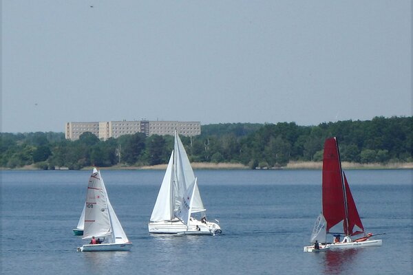 Traditionsregatta 2021