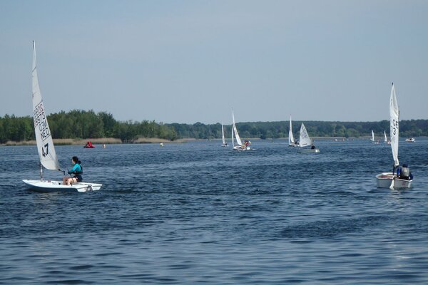 Traditionsregatta 2021