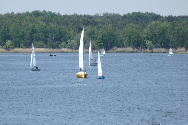 Traditionsregatta 2021
