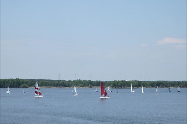 Traditionsregatta 2021