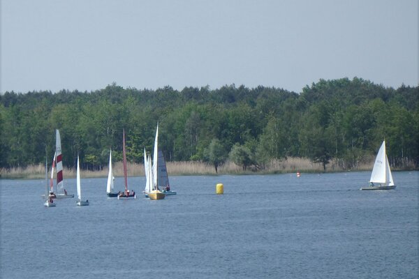 Traditionsregatta 2021