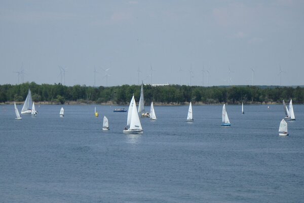 Traditionsregatta 2021