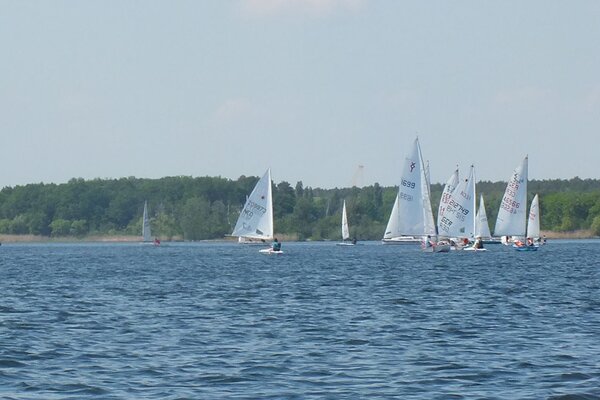 Traditionsregatta 2021