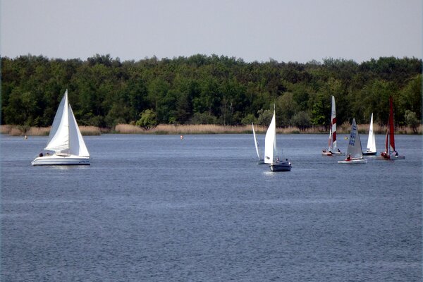 Traditionsregatta 2021
