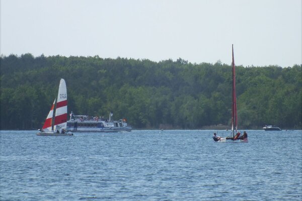 Traditionsregatta 2021