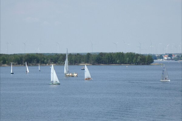 Traditionsregatta 2021