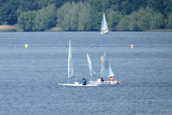 Traditionsregatta 2021