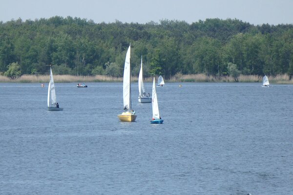 Traditionsregatta 2021