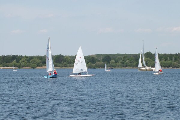 Traditionsregatta 2021