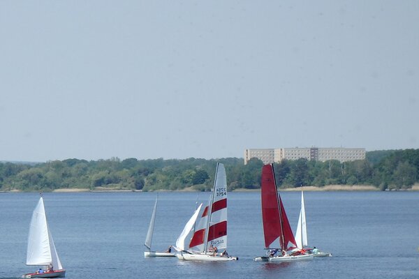 Traditionsregatta 2021