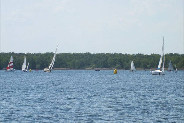 Traditionsregatta 2021