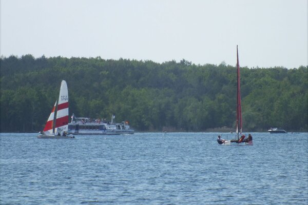 Traditionsregatta 2021