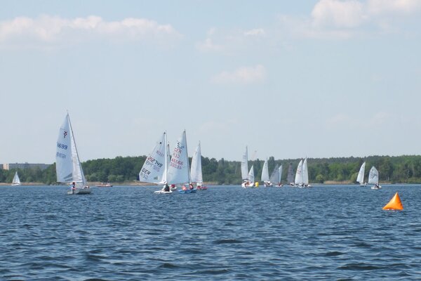 Traditionsregatta 2021