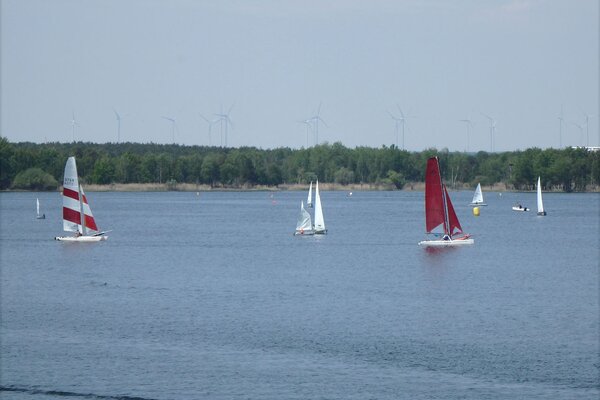 Traditionsregatta 2021