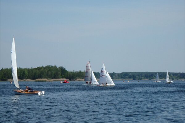 Traditionsregatta 2021