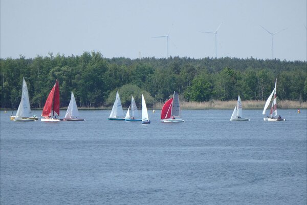 Traditionsregatta 2021