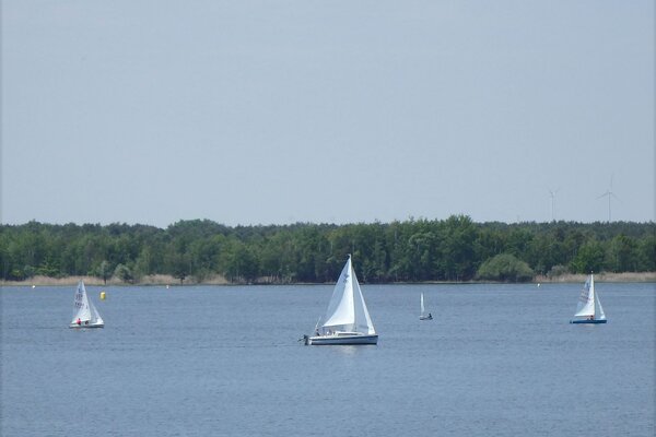 Traditionsregatta 2021