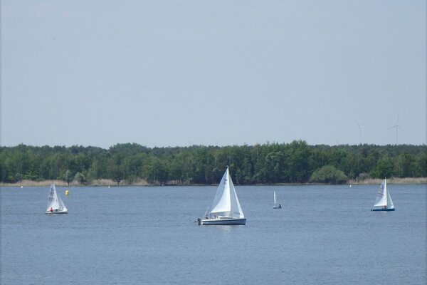 Traditionsregatta 2021