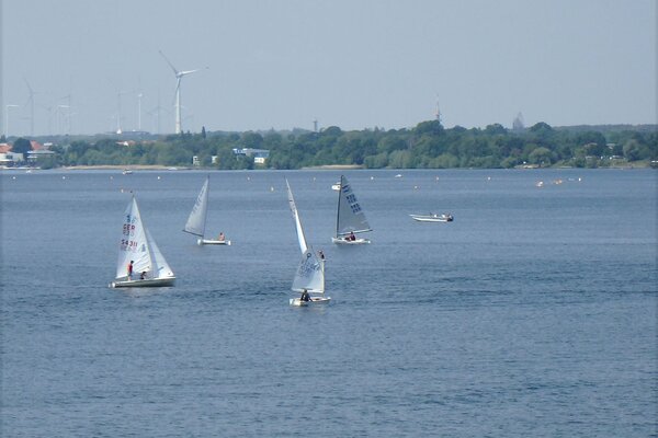 Traditionsregatta 2021