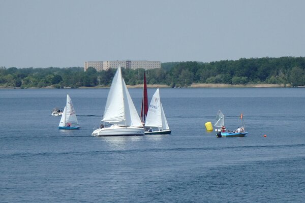 Traditionsregatta 2021