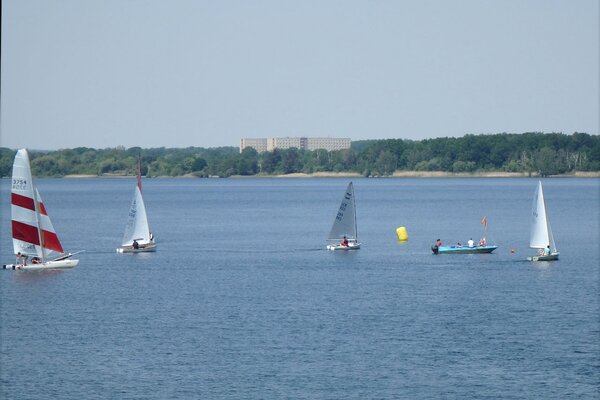 Traditionsregatta 2021