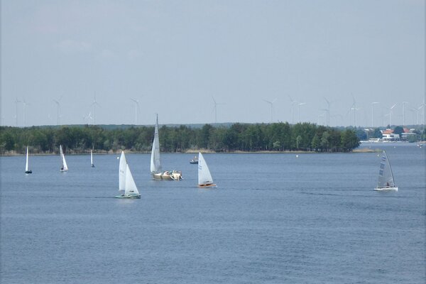 Traditionsregatta 2021