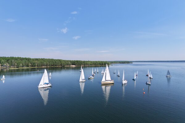 Traditionsregatta 2026
