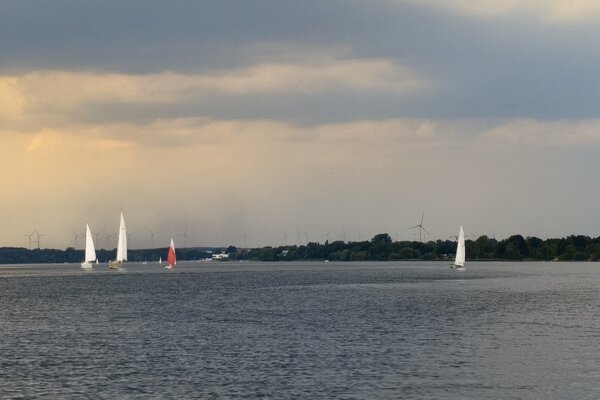 Traditionsregatta 2026