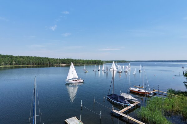Traditionsregatta 2026
