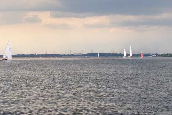 Traditionsregatta 2026