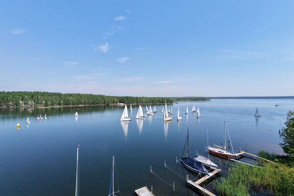 Traditionsregatta 2026