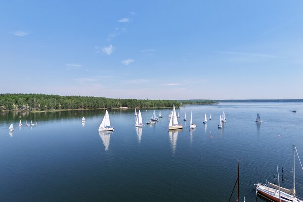Traditionsregatta 2026