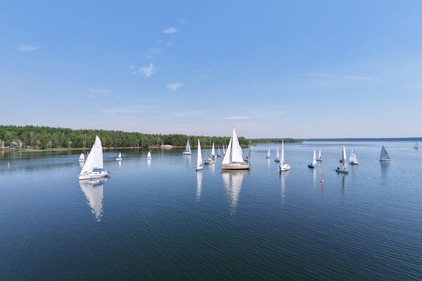 Traditionsregatta 2026
