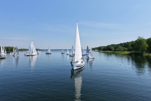 Traditionsregatta 2026