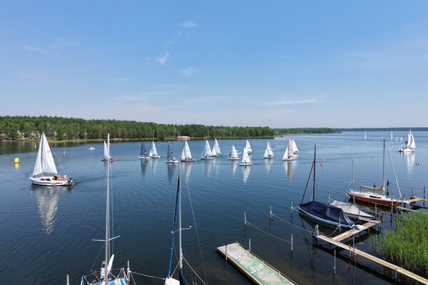 Traditionsregatta 2026